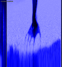 Image of a spectrogram seen in the song "My Violent Heart" by Nine Inch Nails in their album "Year Zero".